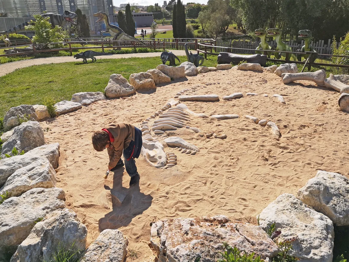 The archeology pit
