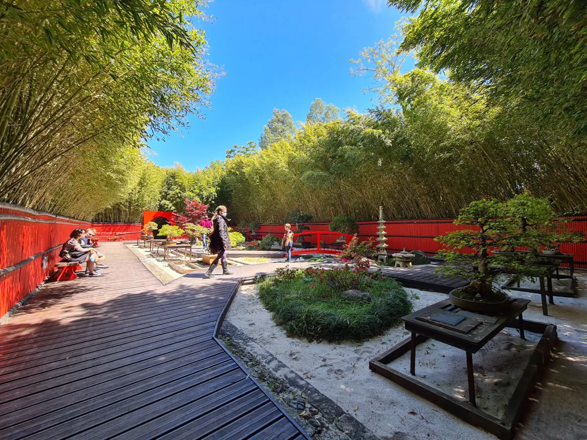 Planet Exotica Bamboo Garden