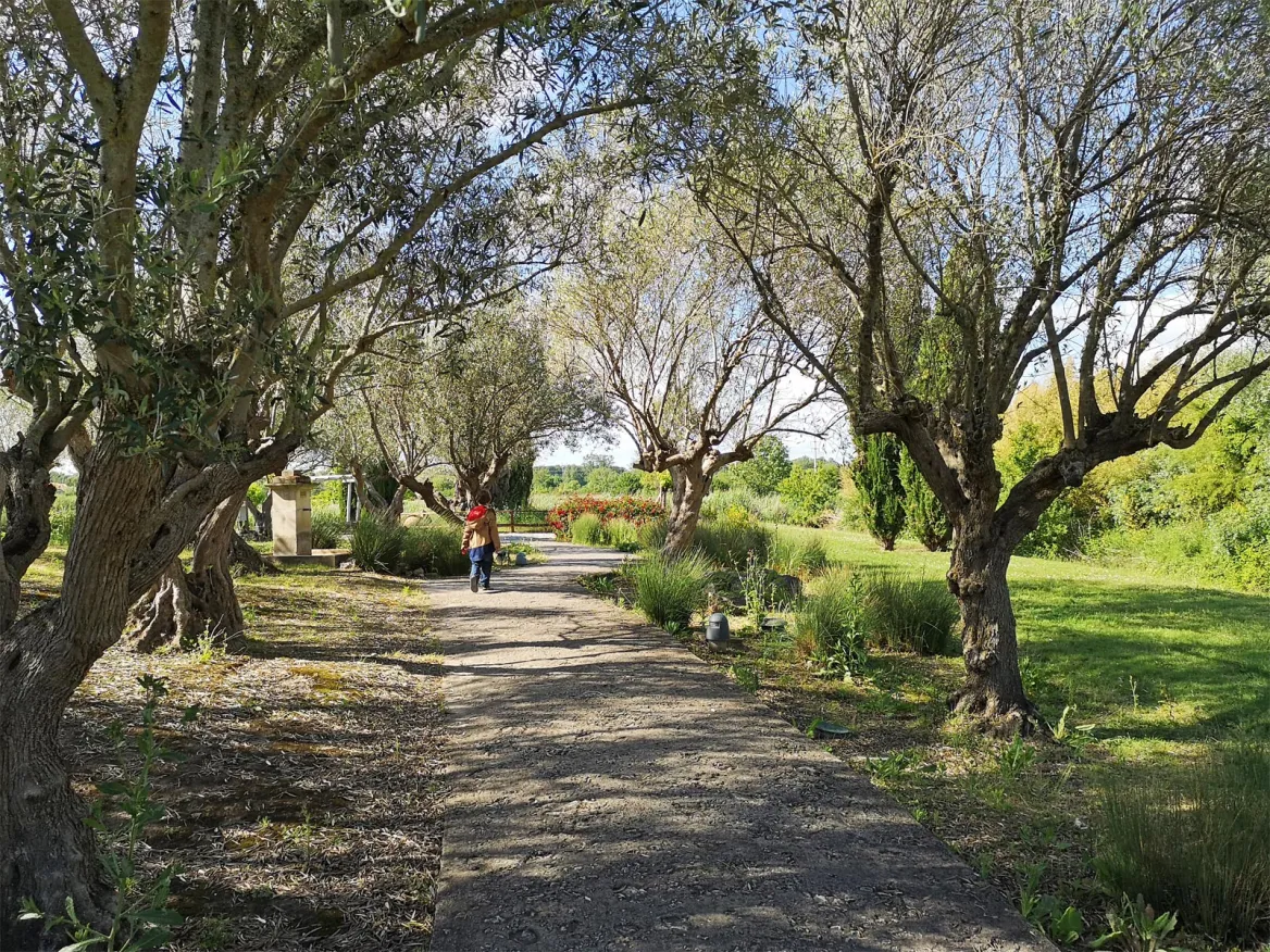 Tosan garden