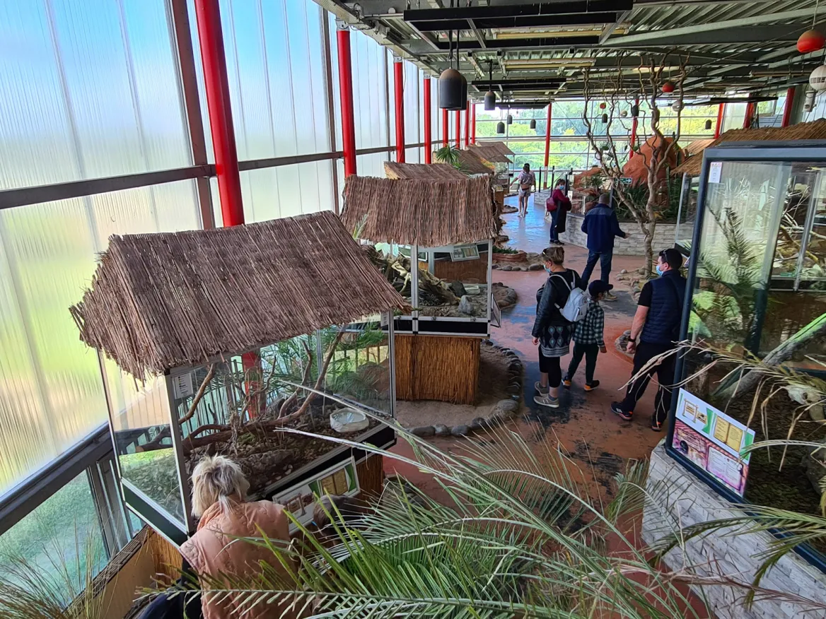 Planet Exotica Desert greenhouse