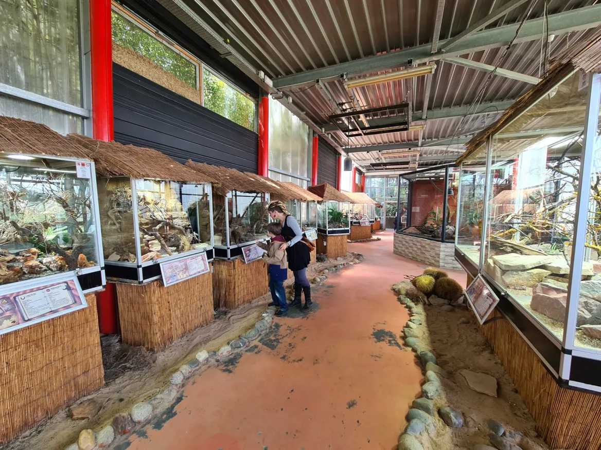 Planet Exotica Desert greenhouse