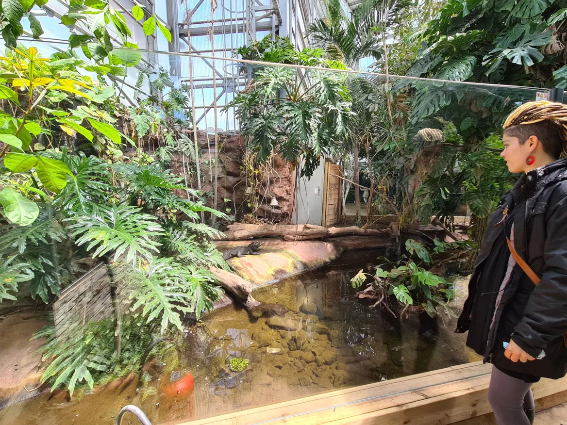 Planet Exotica