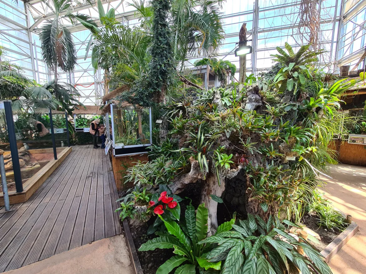Exotic and tropical greenhouse Planet Exotica
