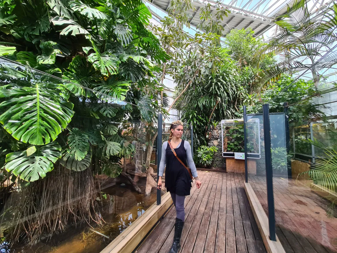 Planet Exotica
