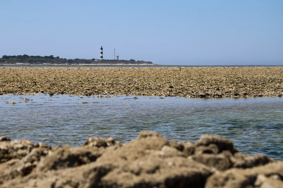 Chassiron lighthouse