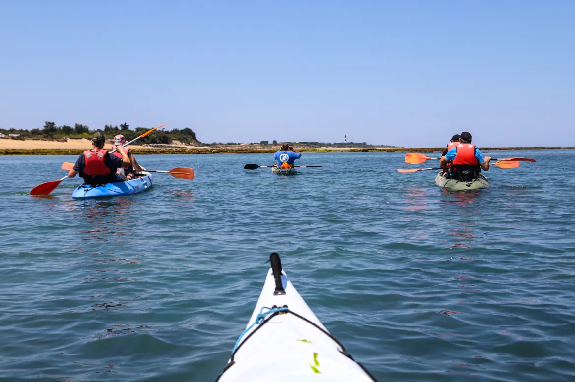 kayaks