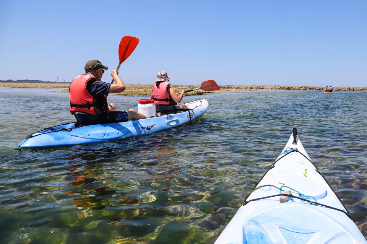 kayaks