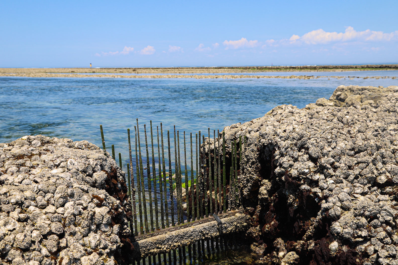 écluses à poissons