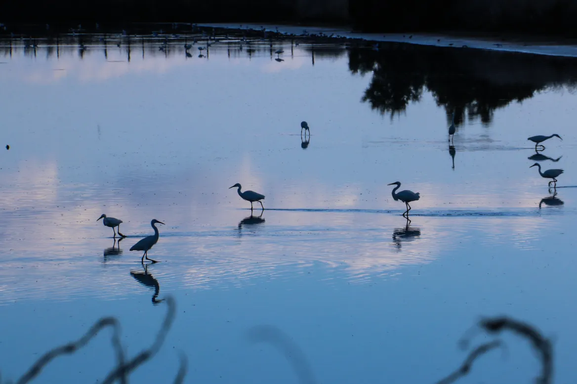 The Marais d’Yves Nature Reserve