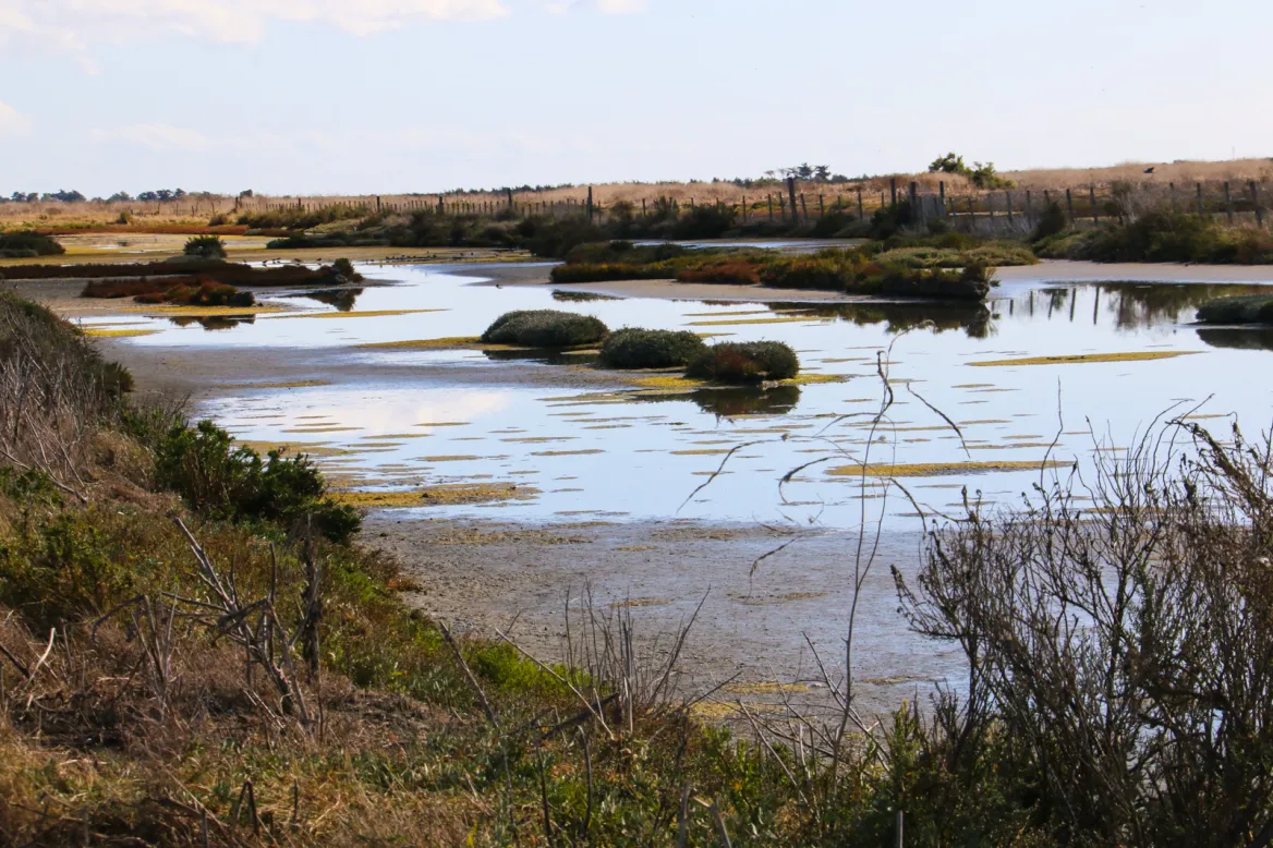 The Lilleau des Niges nature reserve