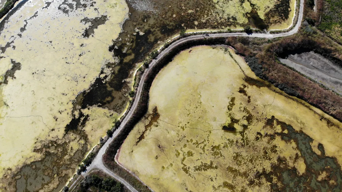 The Lilleau des Niges nature reserve