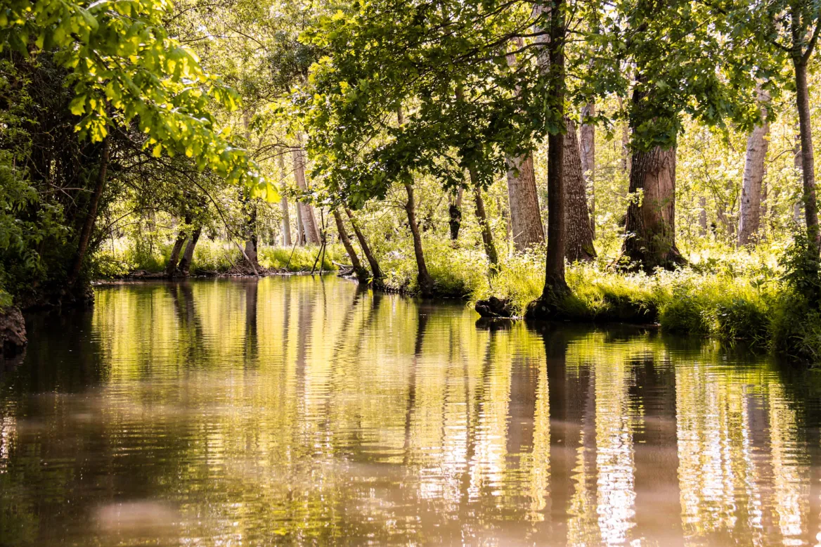 The Poitevin Marsh