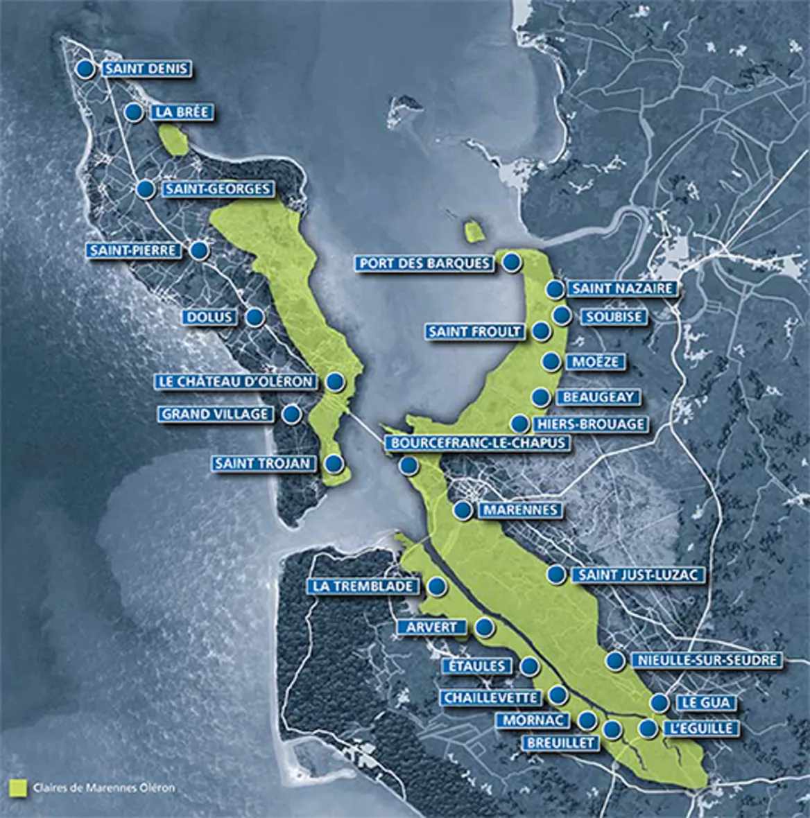 The Seudre estuary