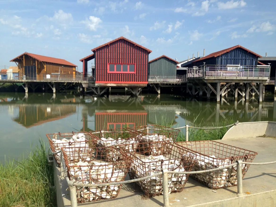 City of the Oyster