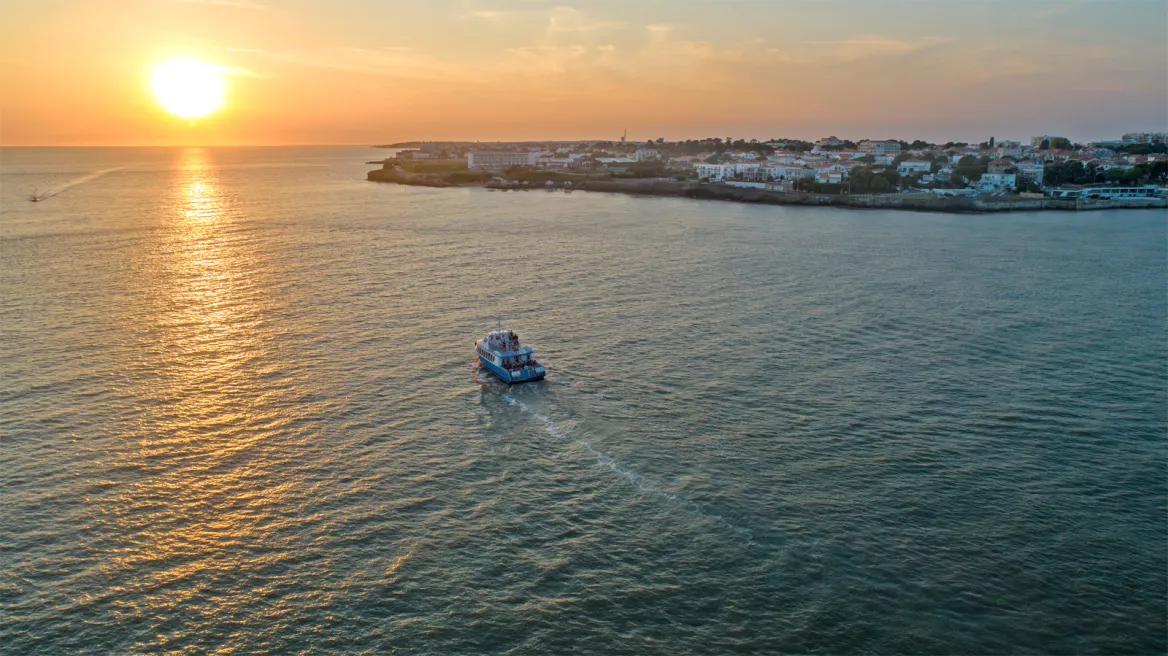 Mermaid Cruise