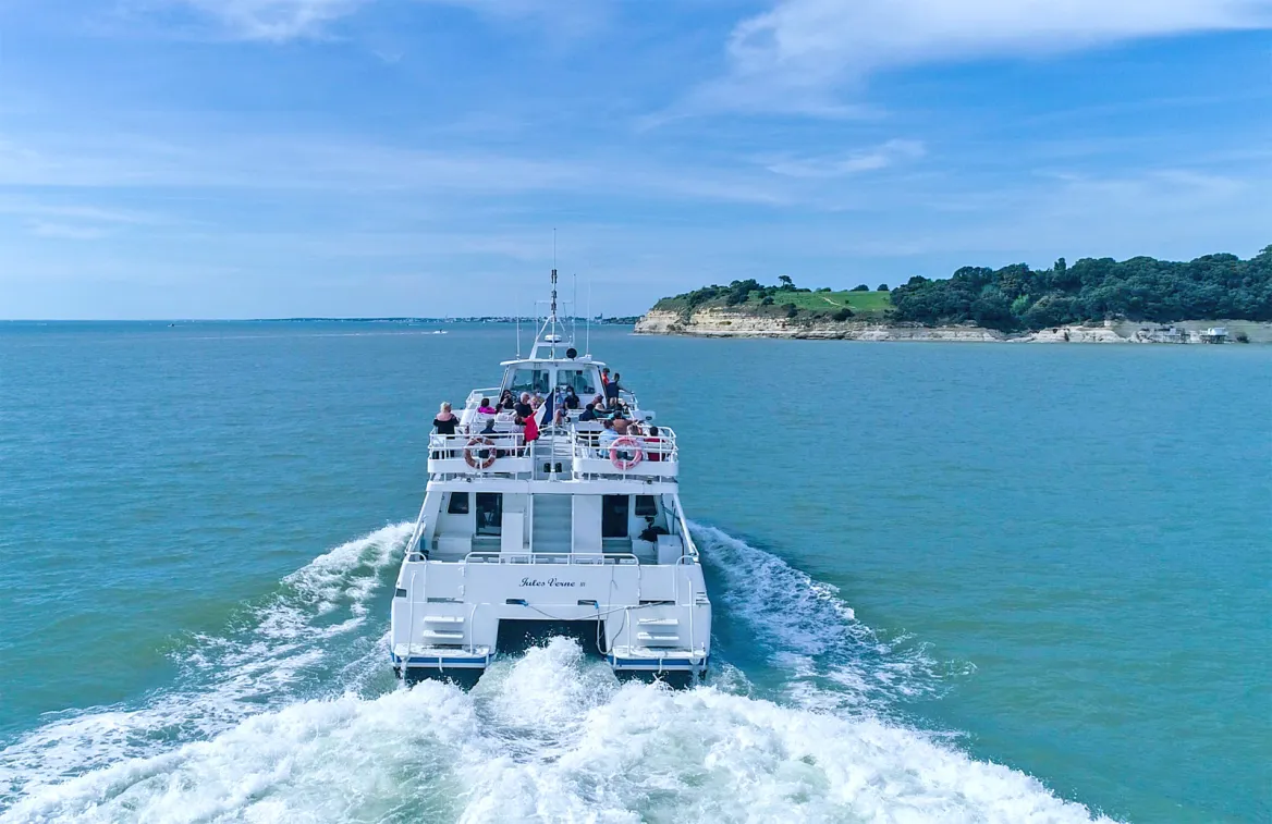 Mermaid Cruise