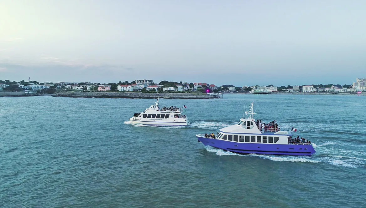 Mermaid Cruise