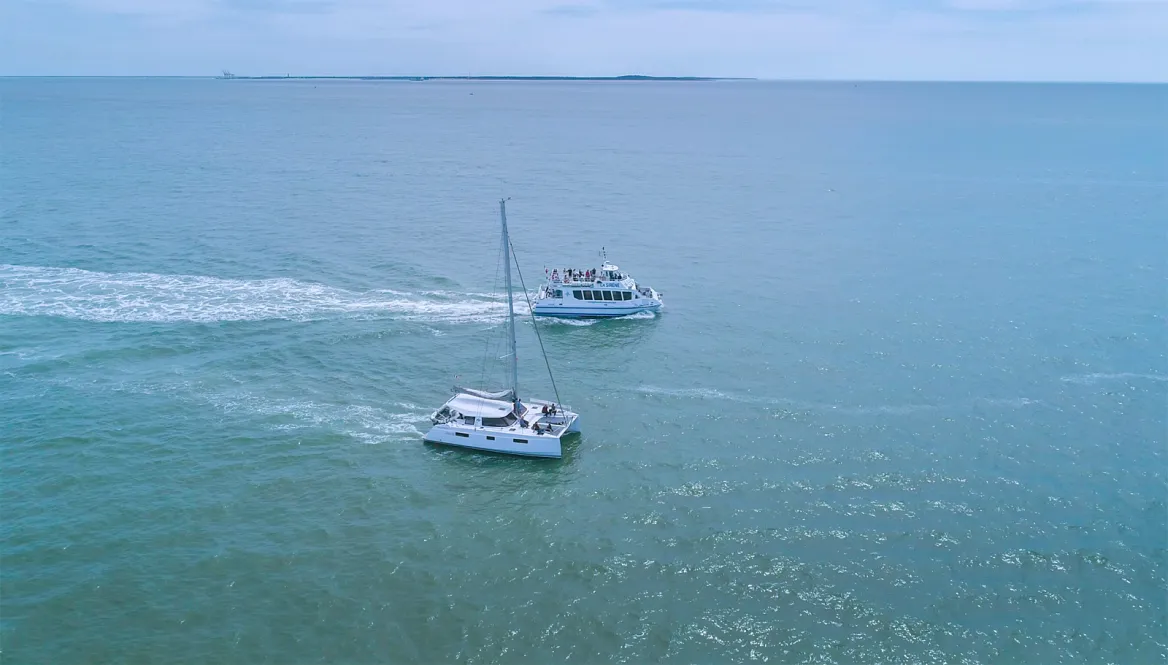 Mermaid Cruise