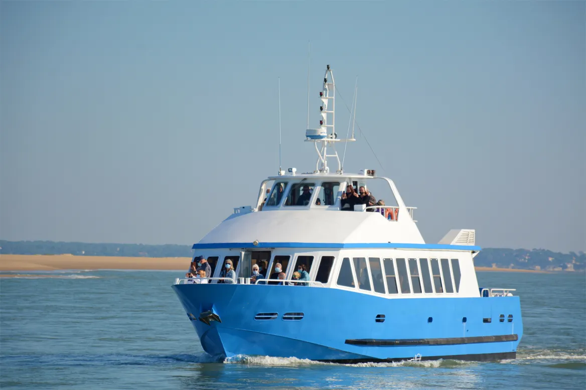 Mermaid Cruise