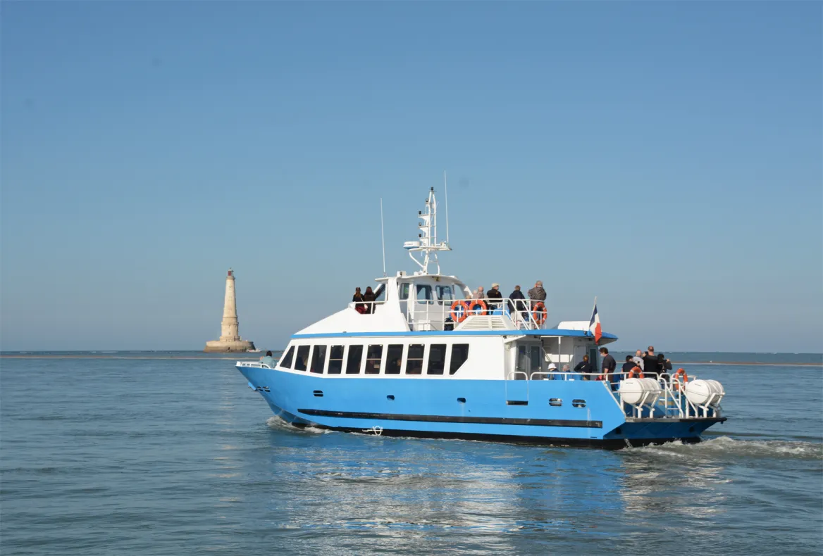 Mermaid Cruise