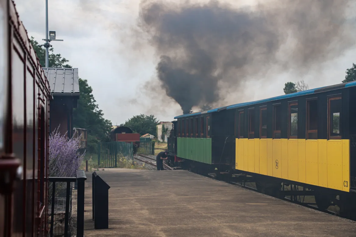 Seagull Train