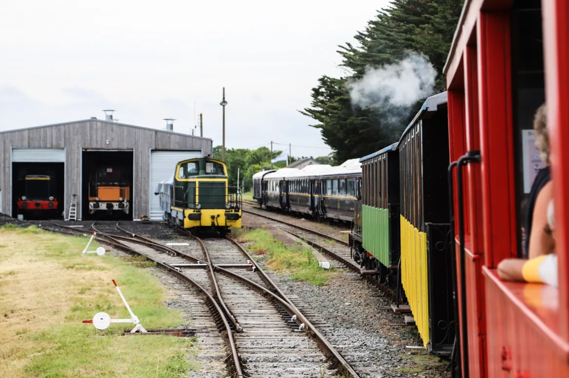 Seagull Train