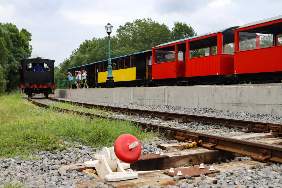 Seagull Train