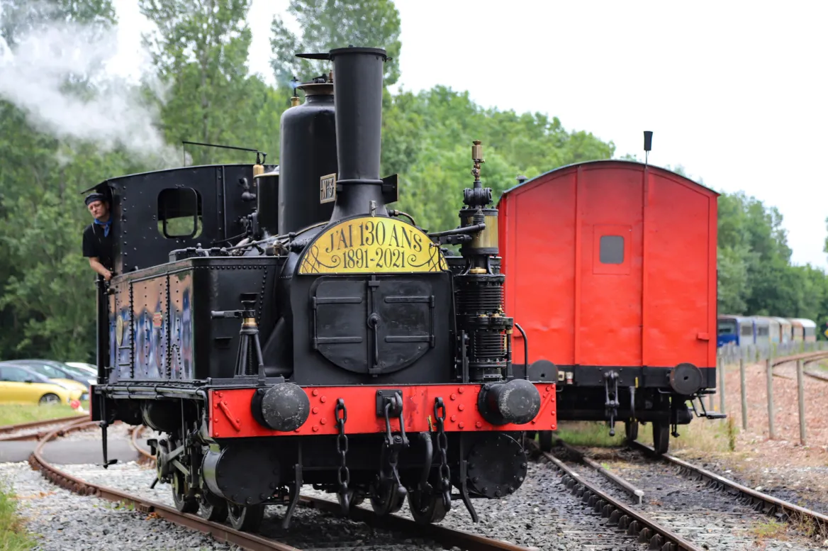 Seagull Train