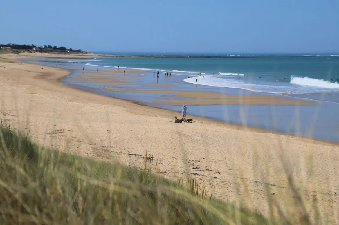 Wild beaches on the Atlantic Ocean