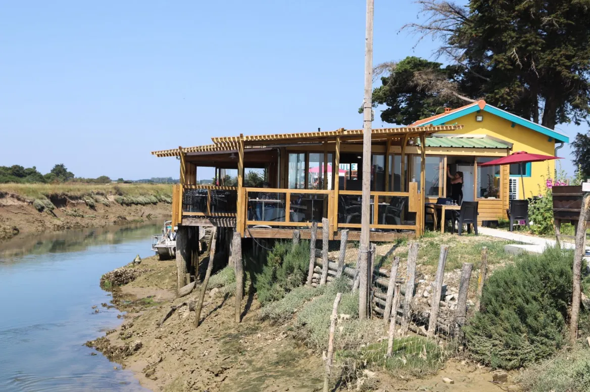 Enjoy Marennes-Oléron oysters from the producers