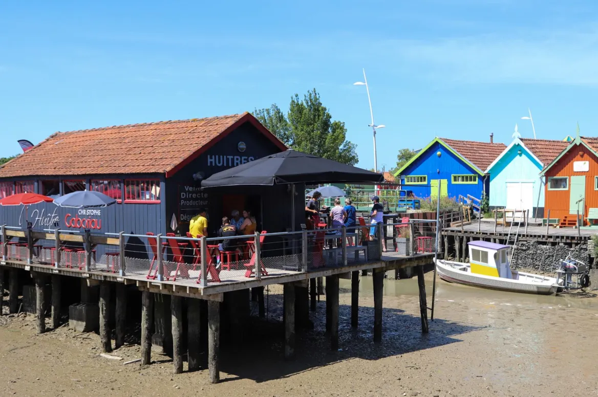 Enjoy Marennes-Oléron oysters from the producers