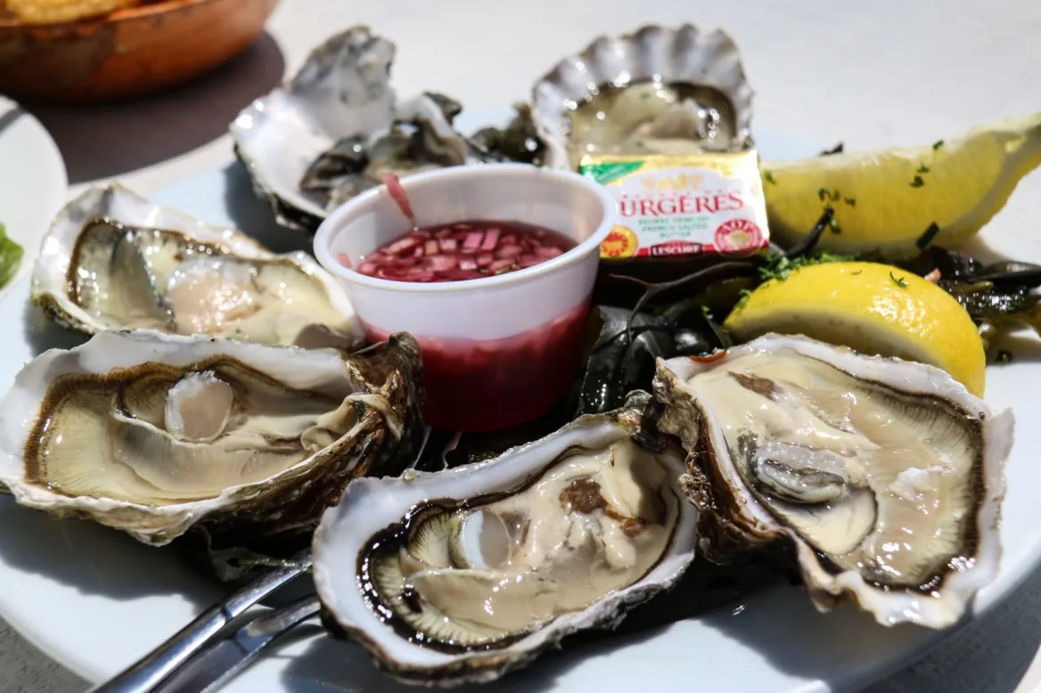 Enjoy Marennes-Oléron oysters from the producers