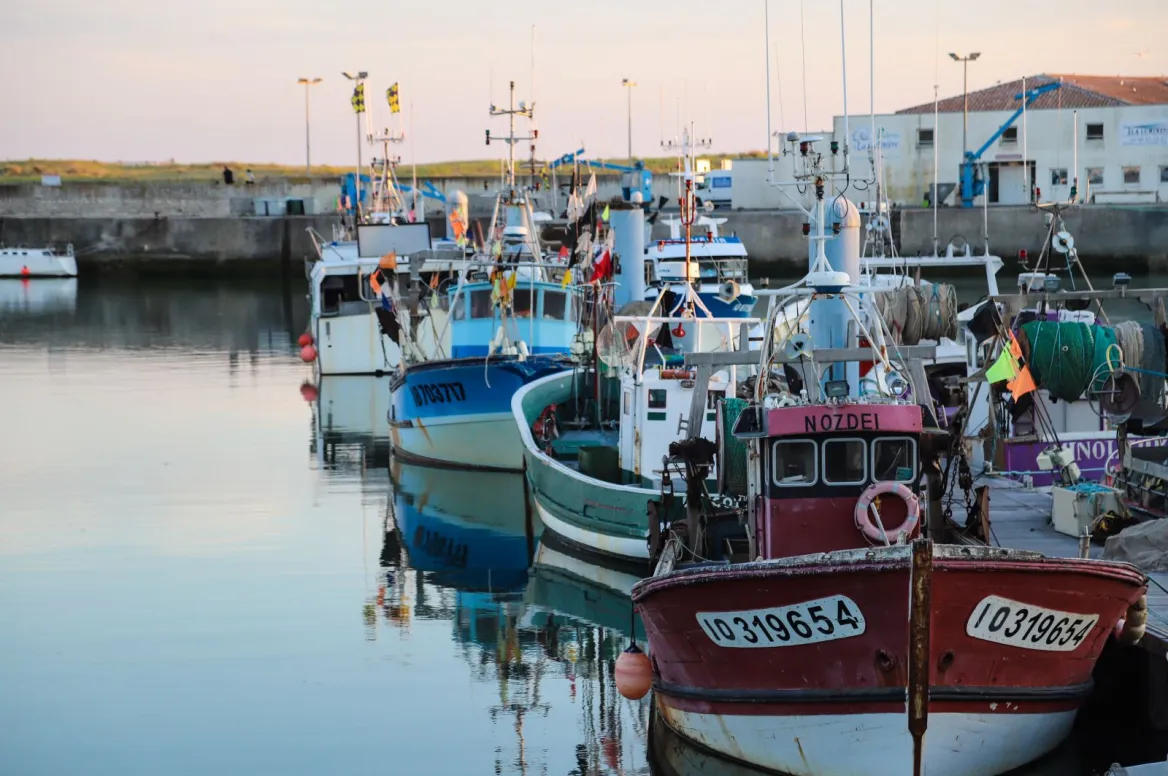 The fishing port of La Cotinière