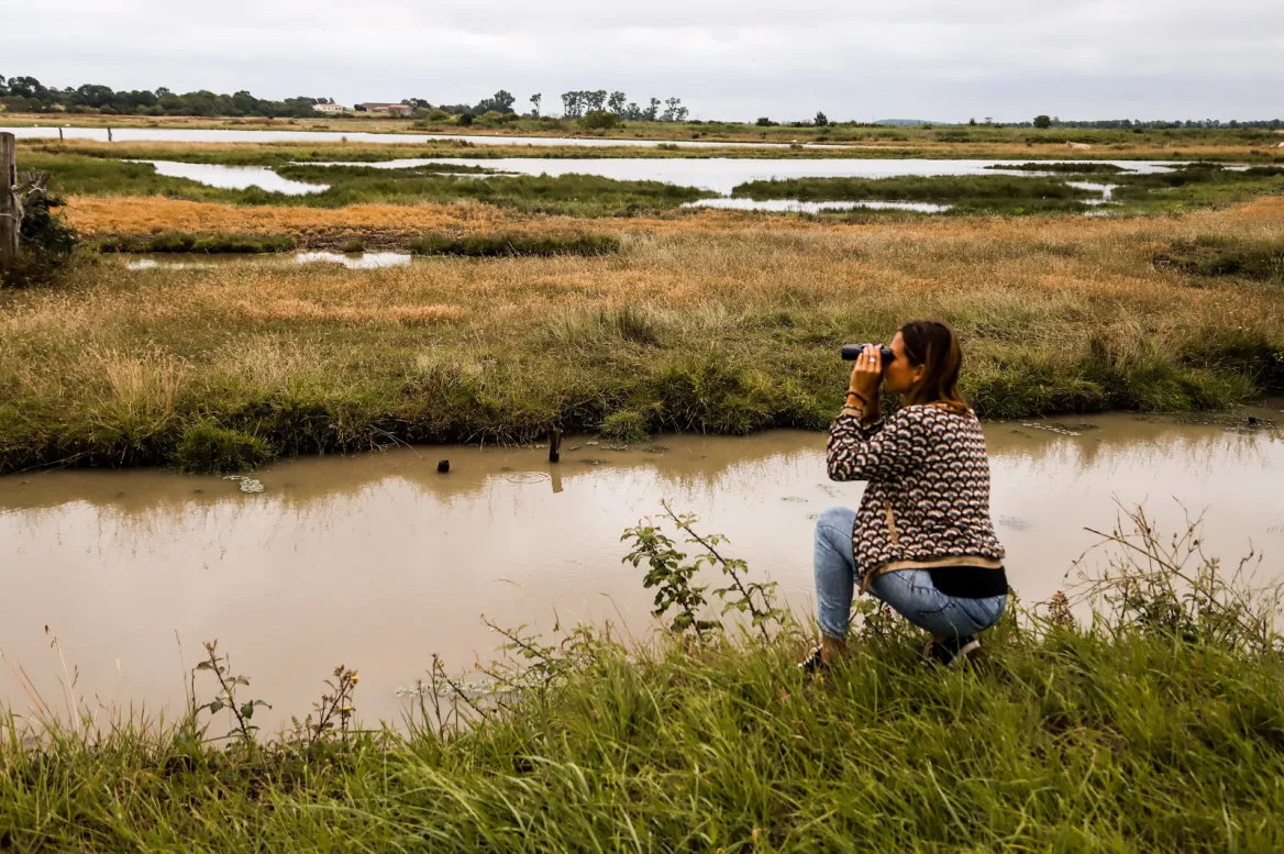 Yves Marsh Nature Reserve