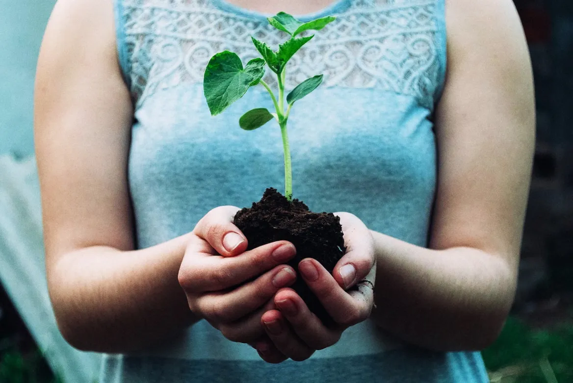 Photo credit © Nikola-Jovanovic / Unsplash