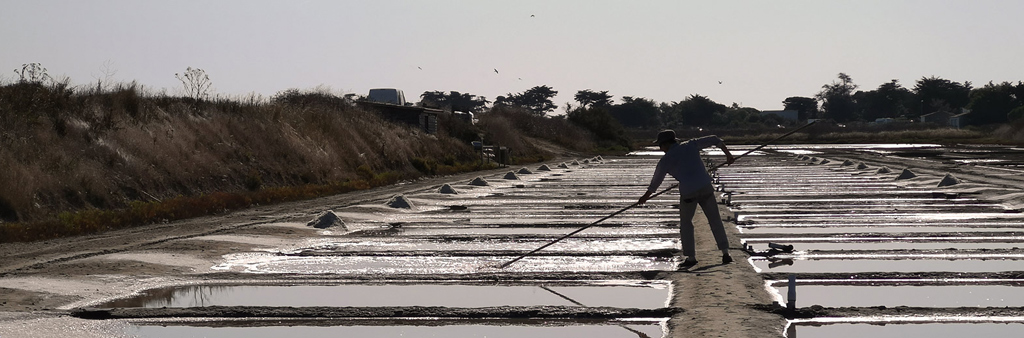 The Salt Workers of the Island of Ré