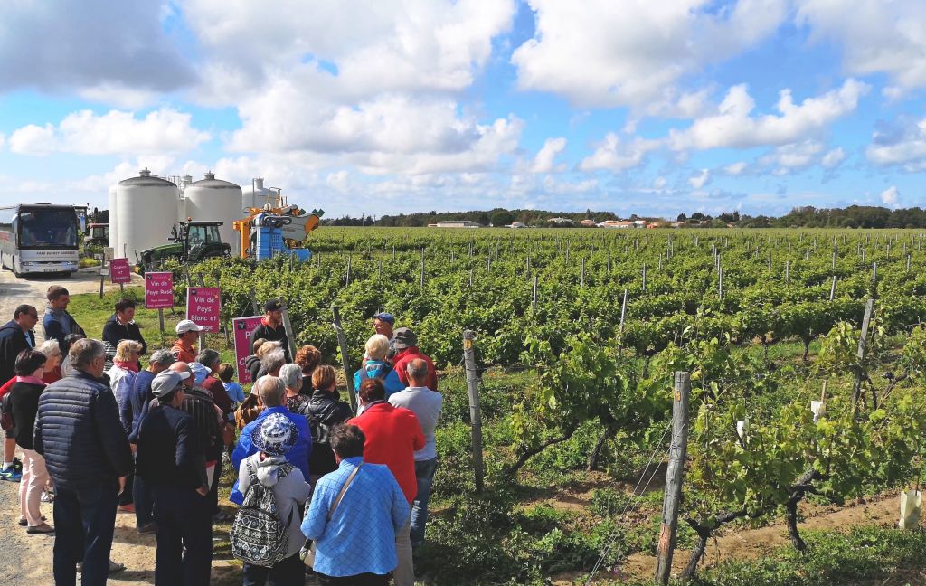 Visit to the Vincent Vineyard