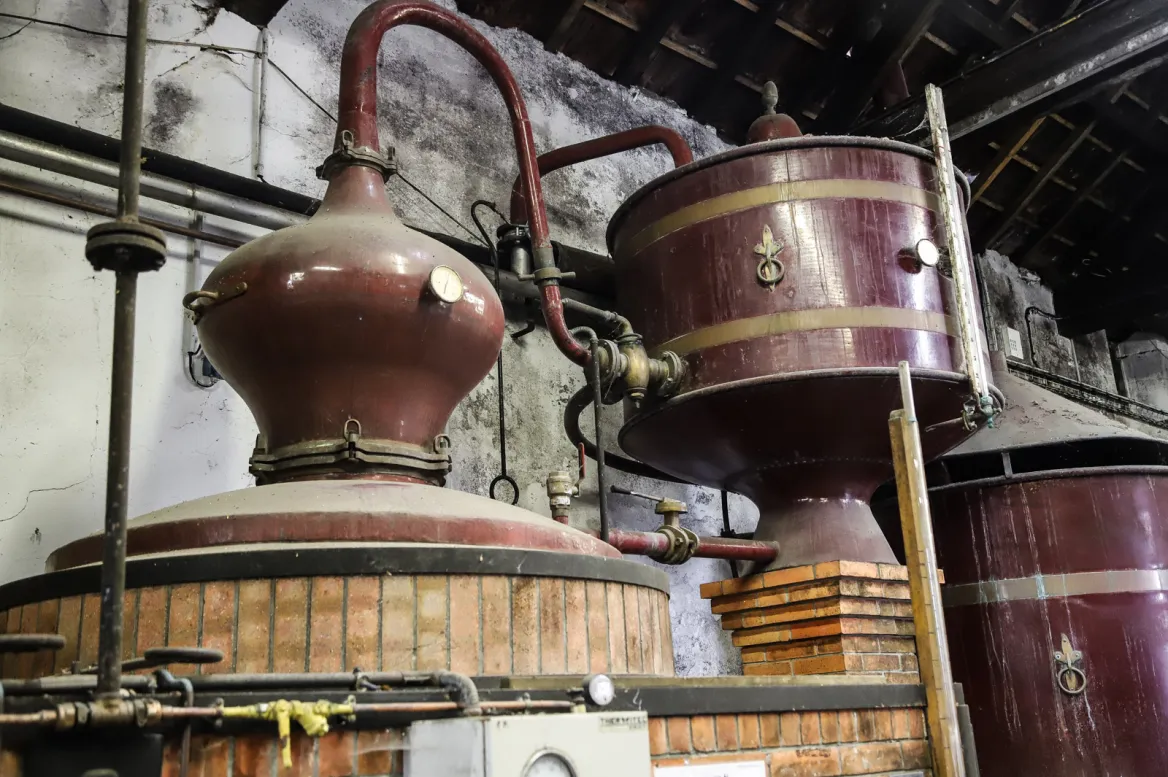Cognac Vallein Tercinier