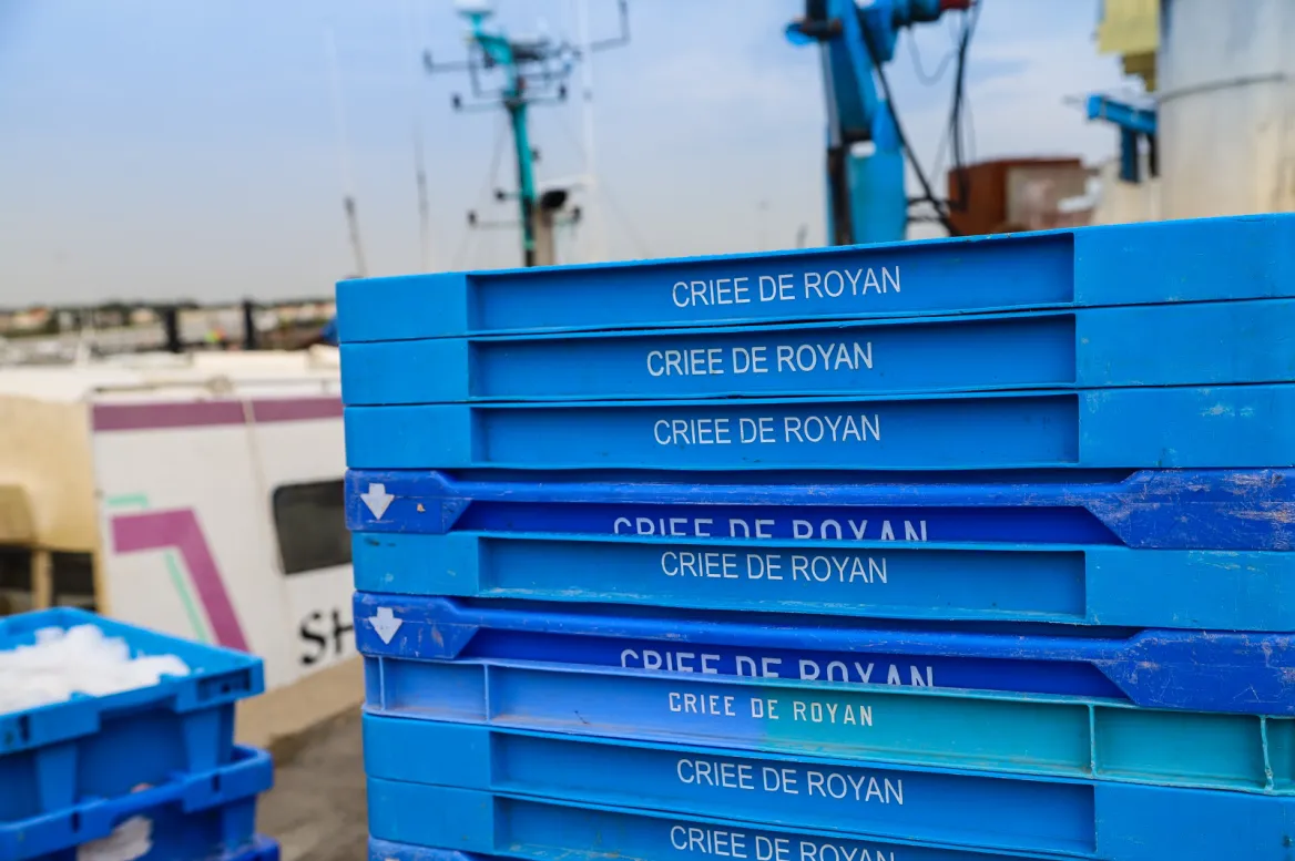 The Port of Royan