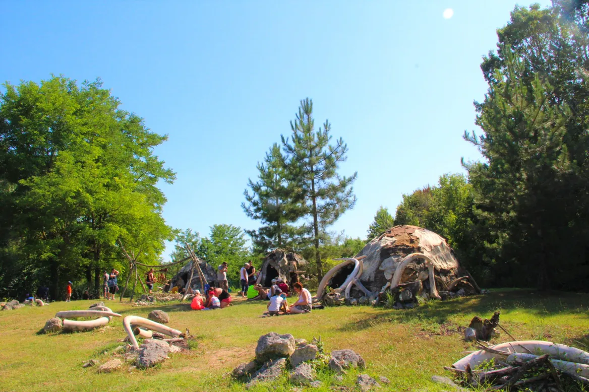The Paleosite