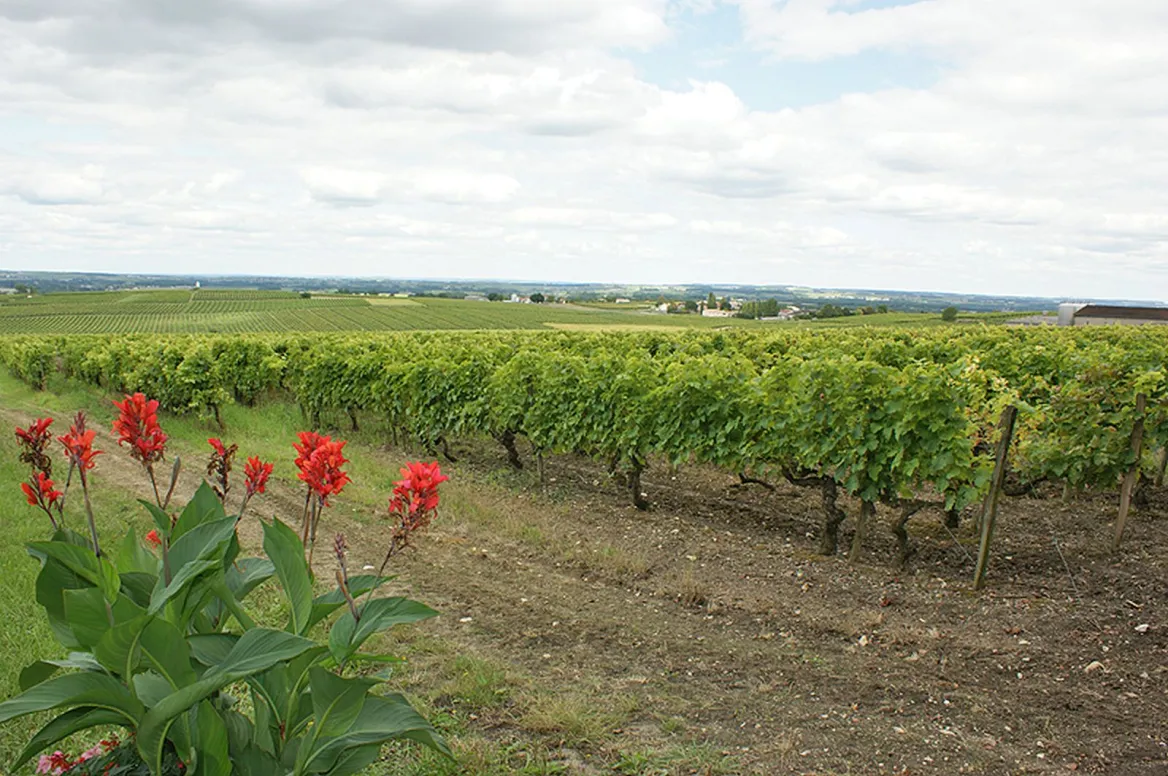 Charente Maritime Weekend