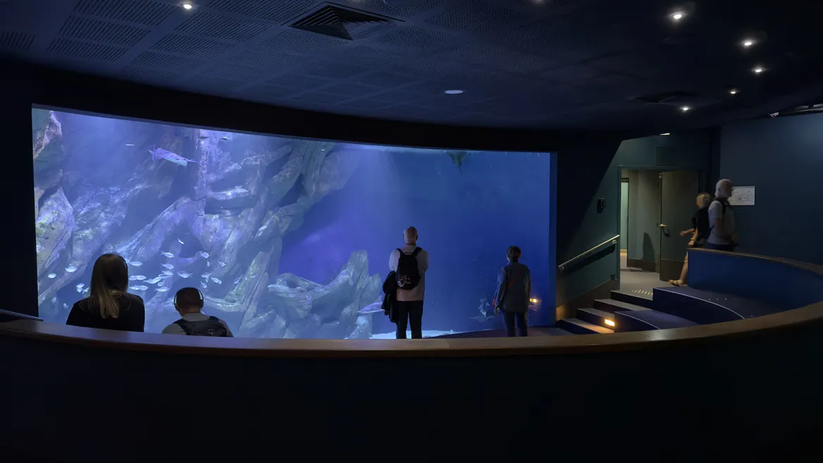 Immersive Observatory of the La Rochelle Aquarium
