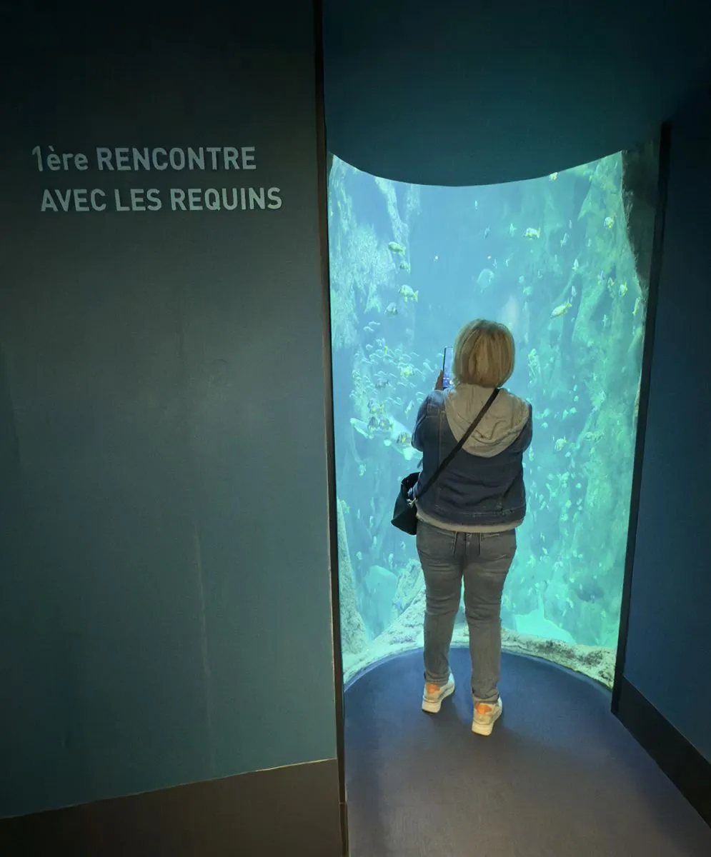 first encounter with sharks