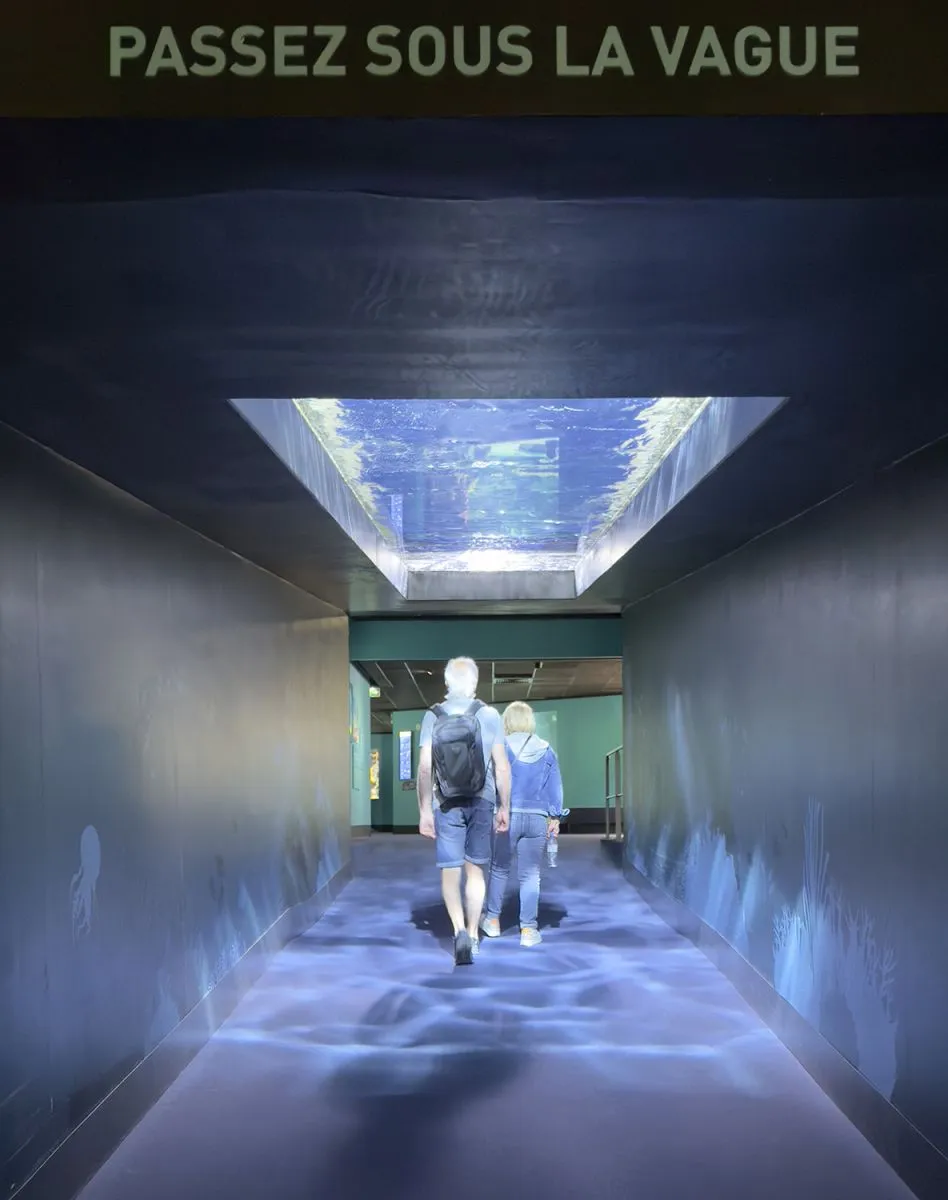 go under the wave