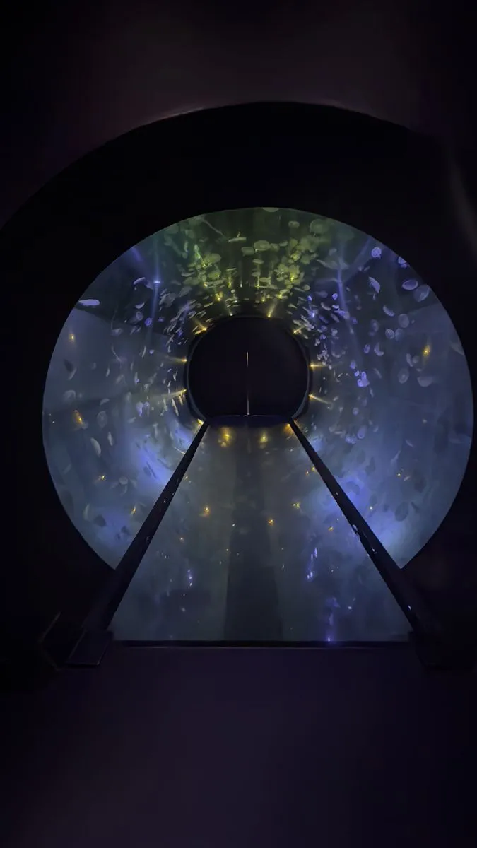 Jellyfish Tunnel