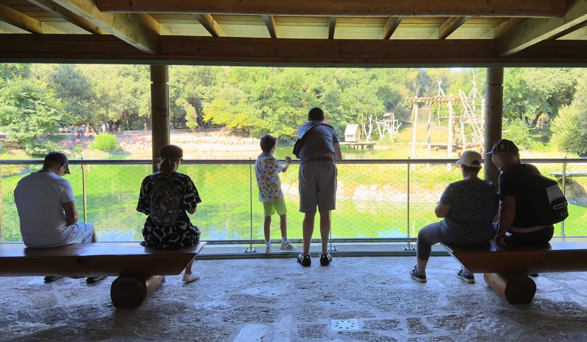 Zoo de la Palmyre vue sur les lémuriens