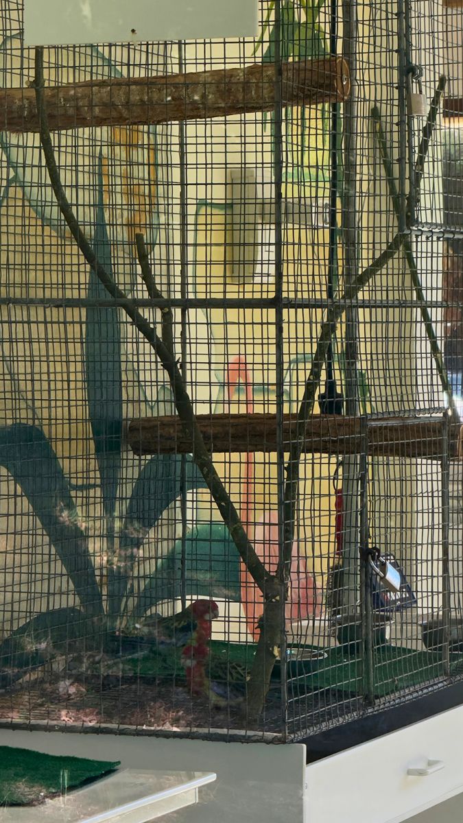 Zoo de la Palmyre nurserie