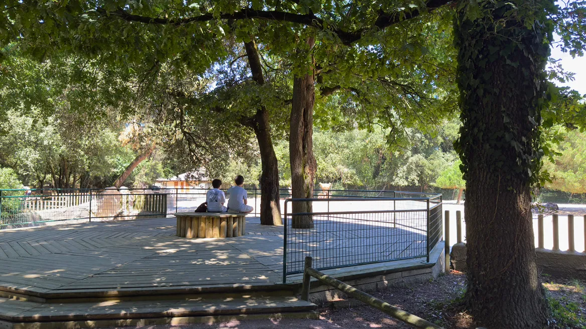 Zoo de la Palmyre observatoire
