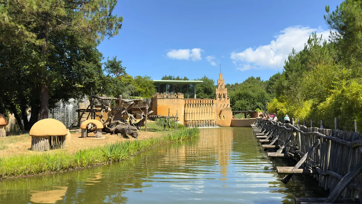 Zoo de la Palmyre royaume des singes