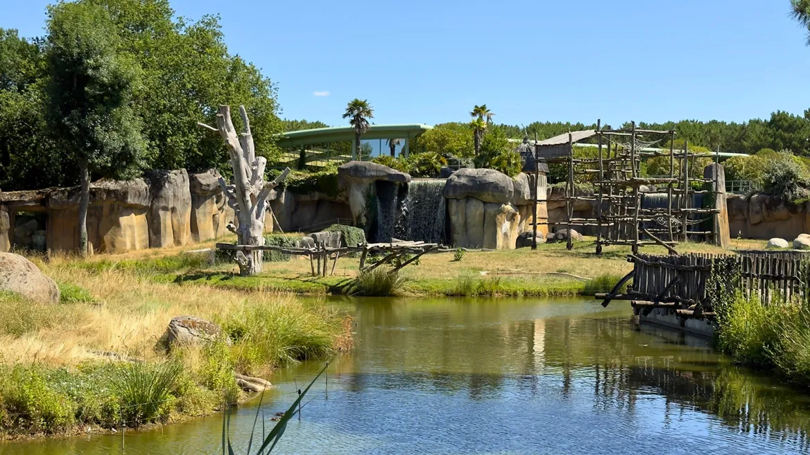Zoo de la Palmyre royaume des singes